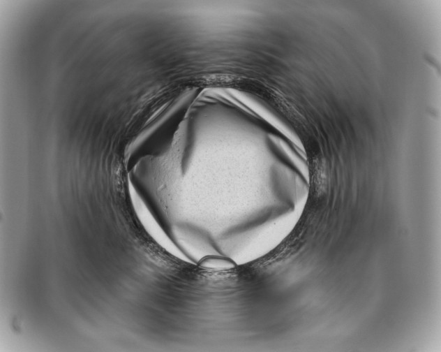 X0000096130619200802081327