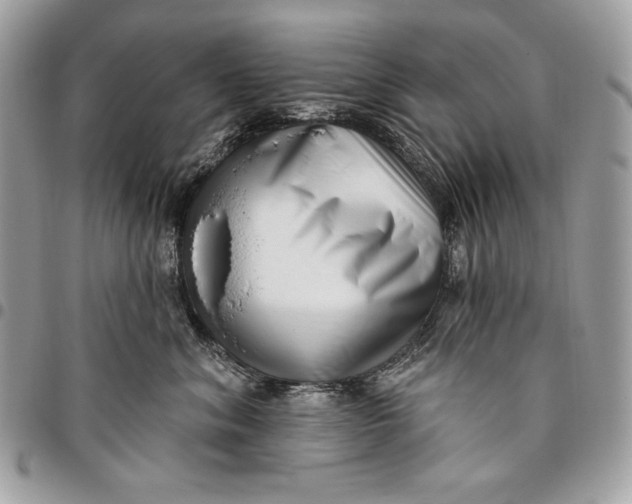 X0000096130620200802081327