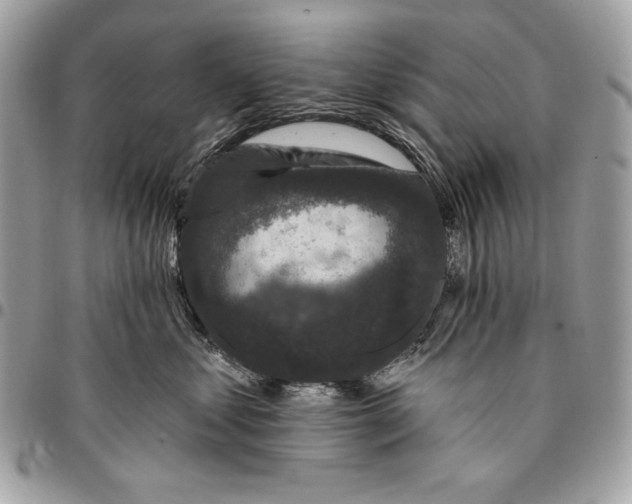 X0000096130621200802081327