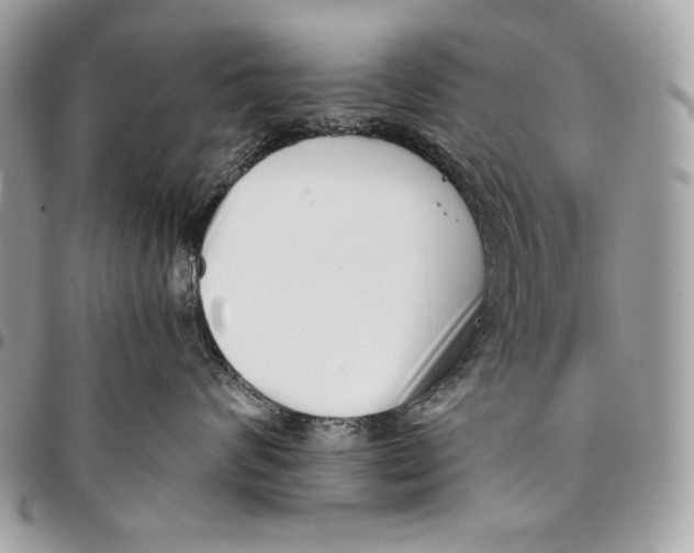 X0000096130624200802081327