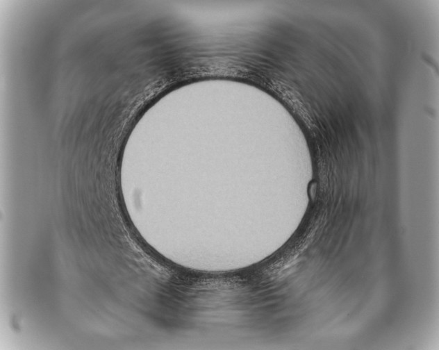 X0000096130625200802081326