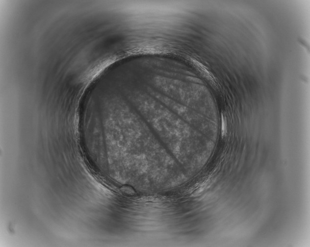 X0000096130627200802081326