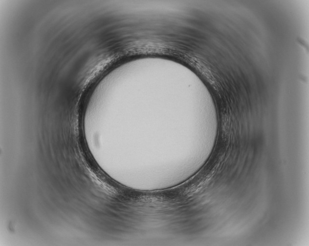 X0000096130629200802081326