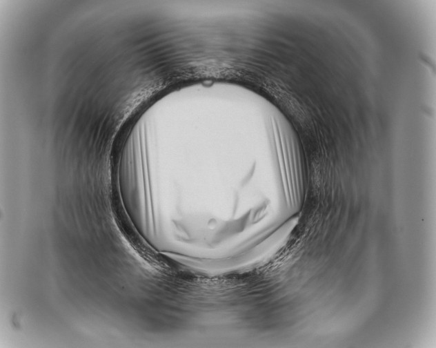 X0000096130630200802081326