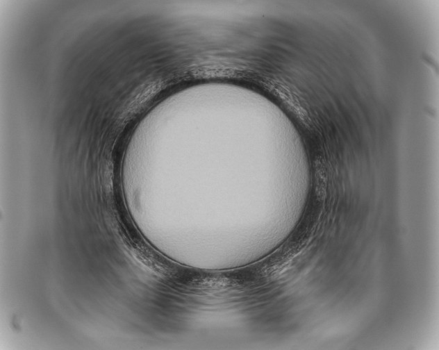 X0000096130631200802081326