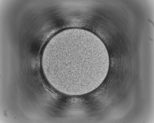 X0000096130632200802081326