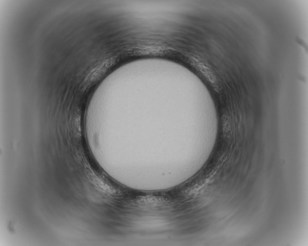 X0000096130633200802081326