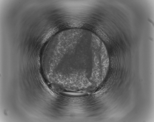 X0000096130634200802081326