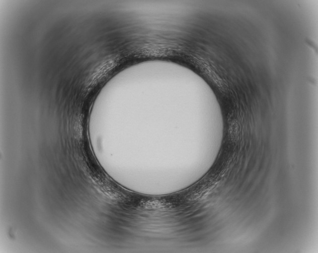 X0000096130635200802081326