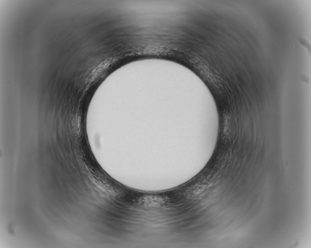 X0000096130636200802081326