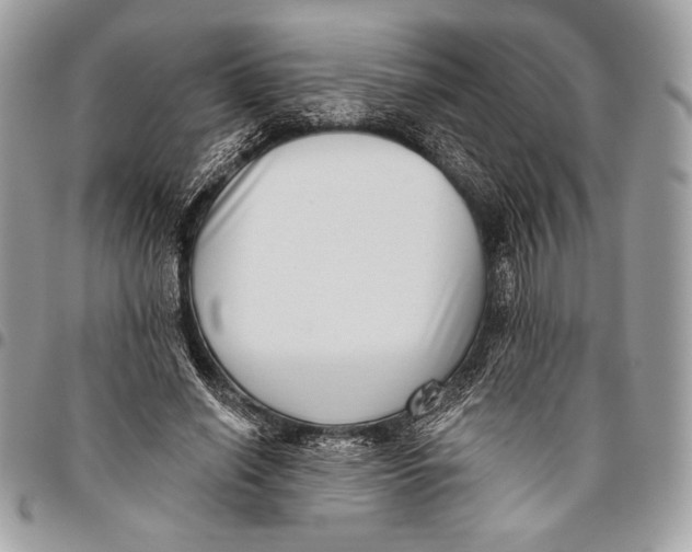 X0000096130638200802081326