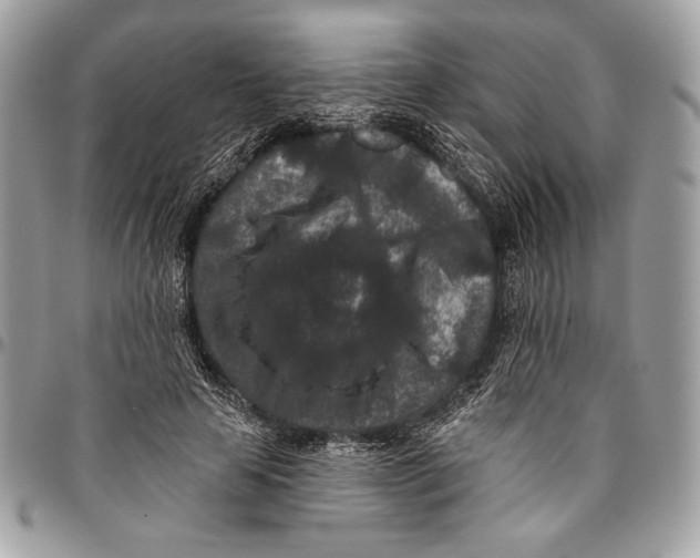 X0000096130641200802081326