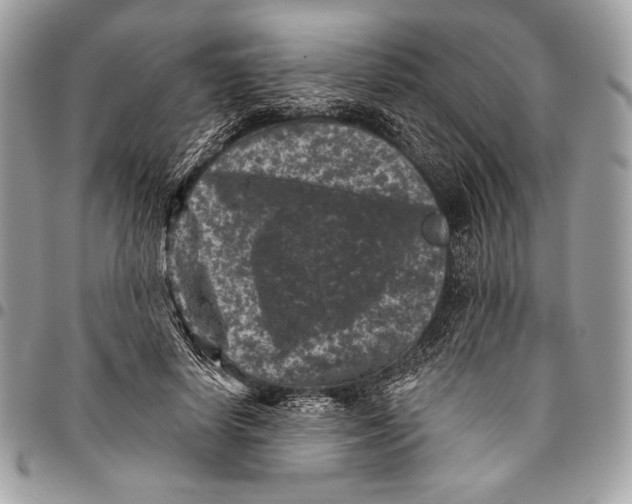 X0000096130642200802081326