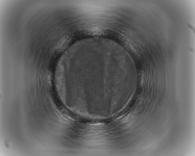 X0000096130643200802081326