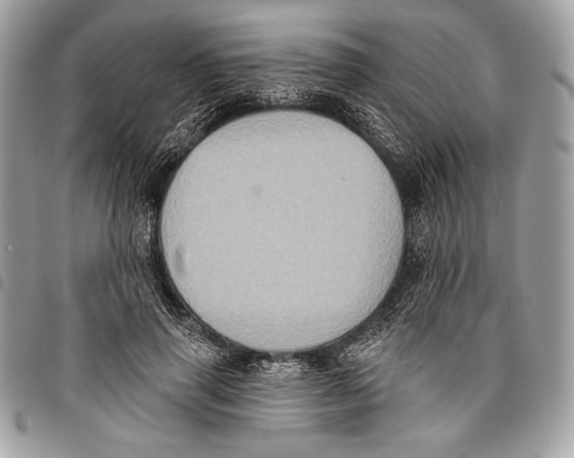 X0000096130645200802081326
