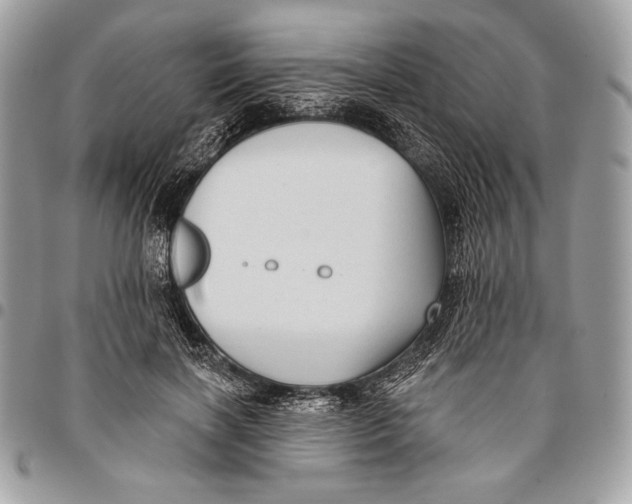 X0000096130646200802081326