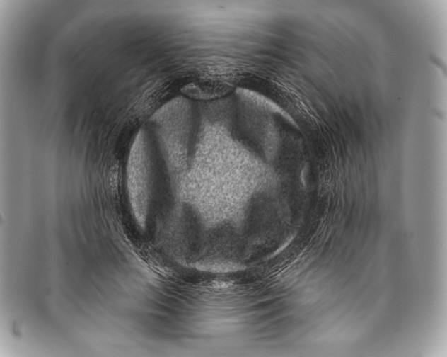 X0000096130647200802081326