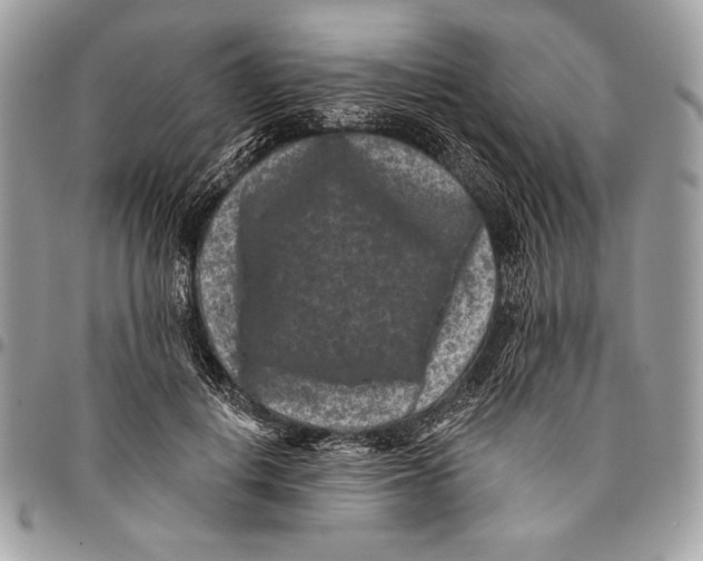 X0000096130648200802081326