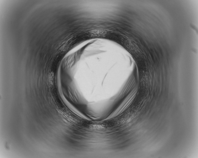 X0000096130649200802081326