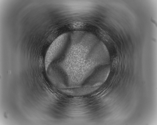X0000096130651200802081327