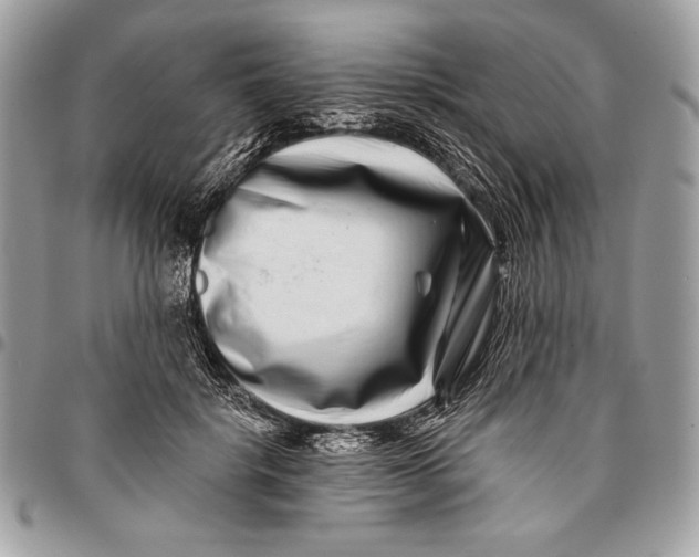 X0000096130652200802081327