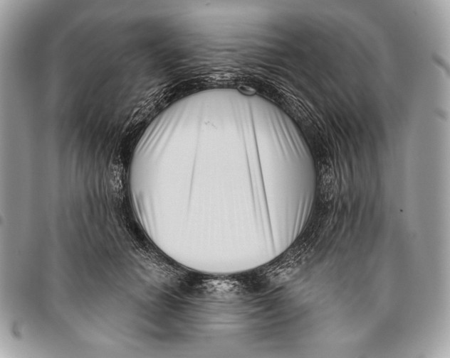X0000096130654200802081327