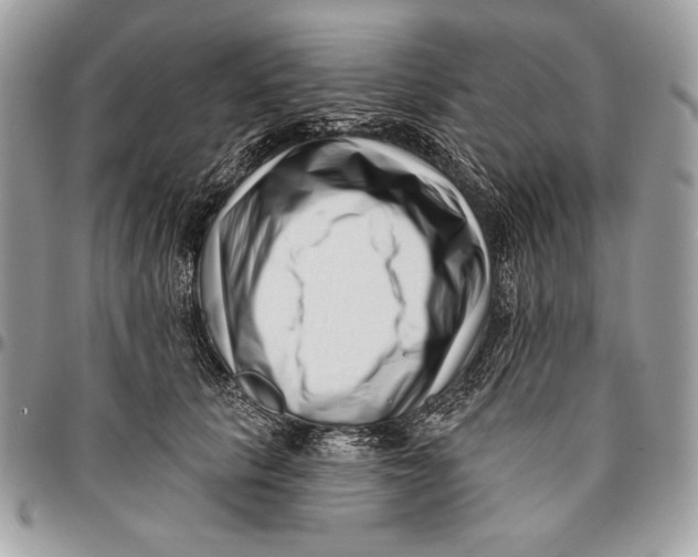 X0000096130657200802081327