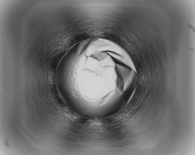 X0000096130658200802081327