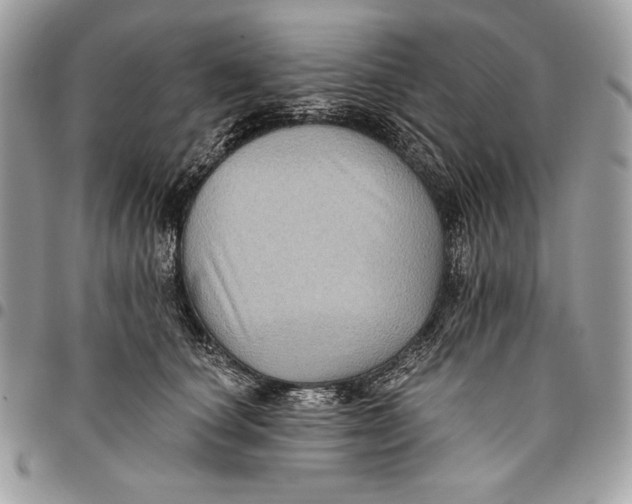 X0000096130660200802081327