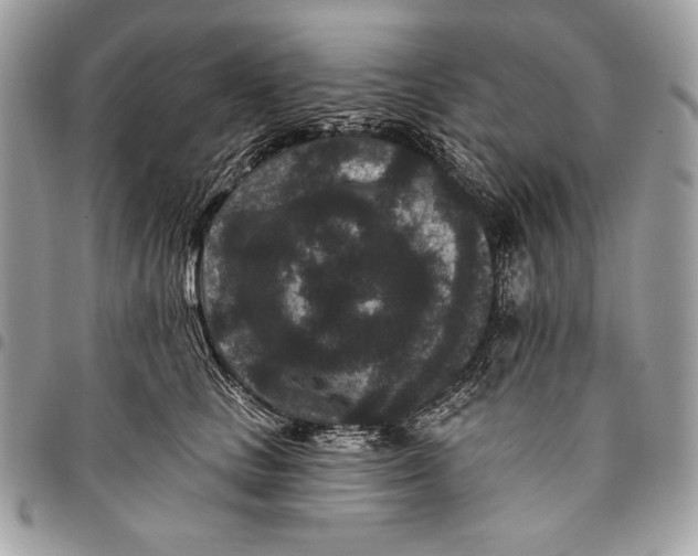 X0000096130661200802081327