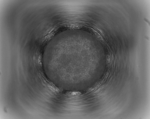 X0000096130663200802081327