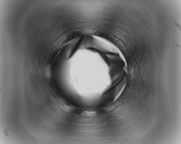 X0000096130665200802081327