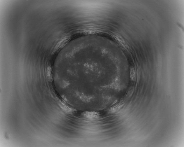 X0000096130670200802081327