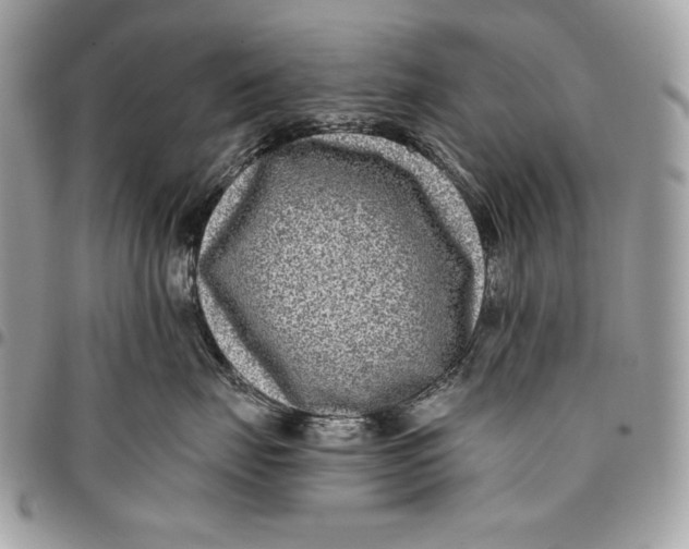 X0000096130671200802081327