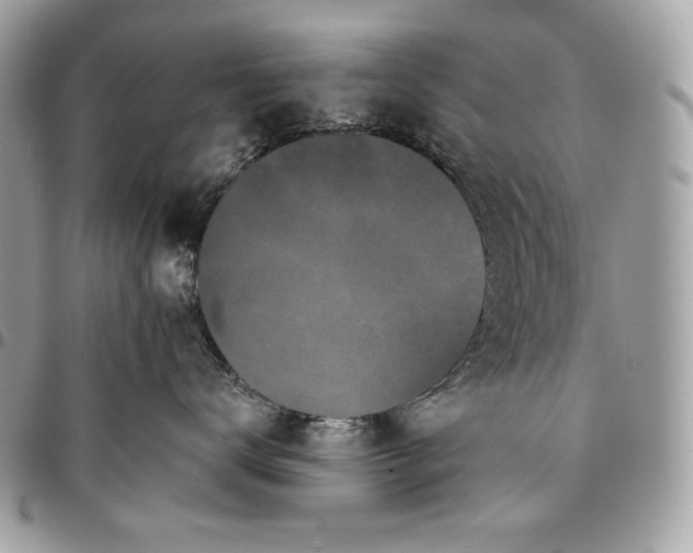 X0000096130672200802081327