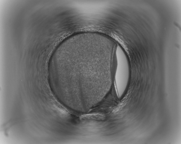 X0000096130673200802081326