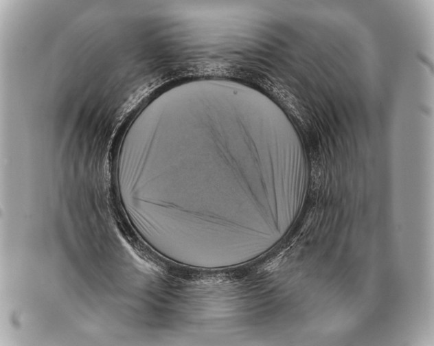 X0000096130674200802081326