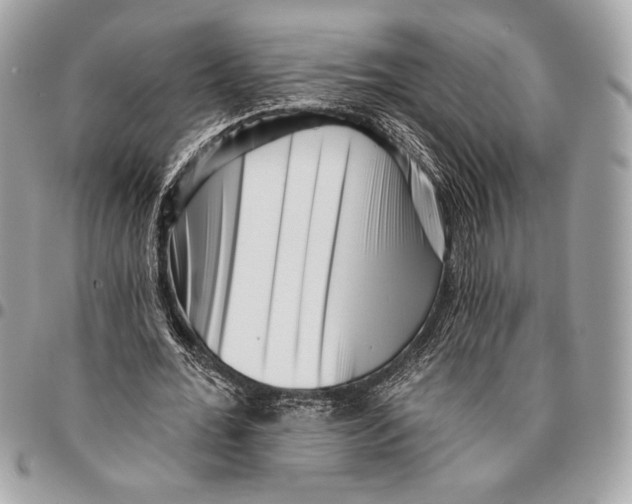 X0000096130676200802081326