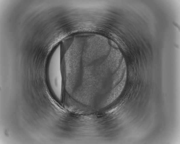 X0000096130677200802081326