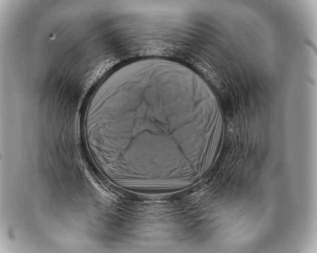 X0000096130678200802081326