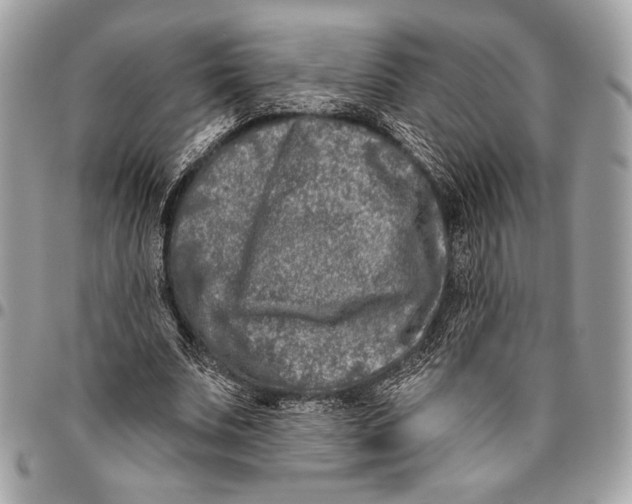 X0000096130679200802081326