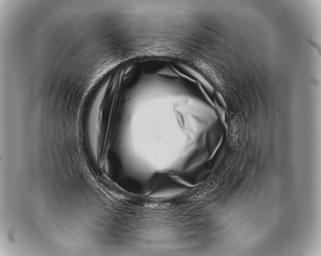 X0000096130680200802081326