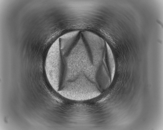 X0000096130681200802081326
