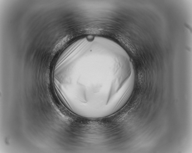 X0000096130682200802081326