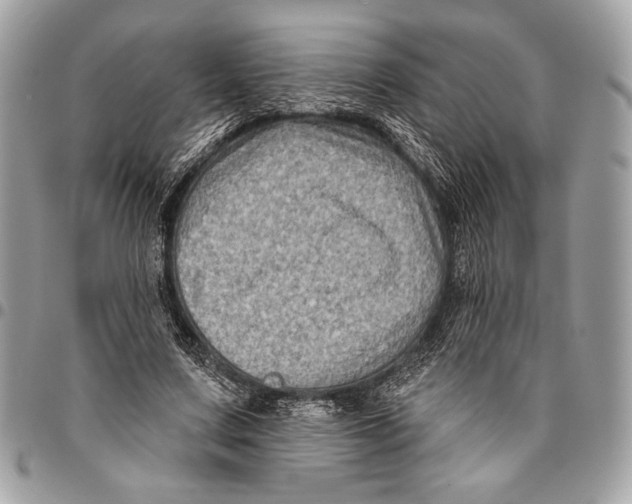 X0000096130683200802081326