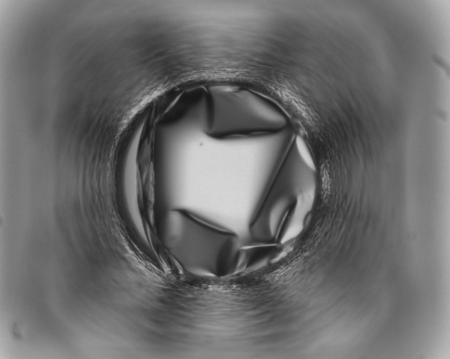 X0000096130684200802081326