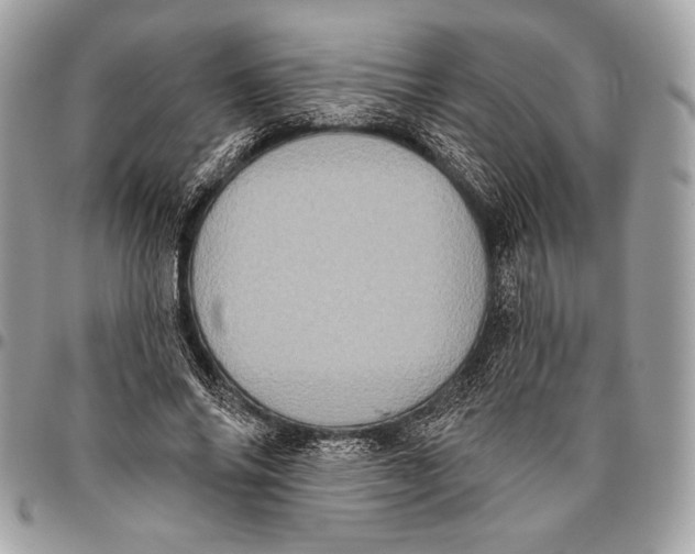 X0000096130686200802081326