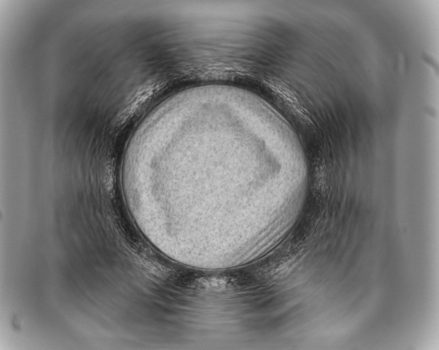 X0000096130687200802081326
