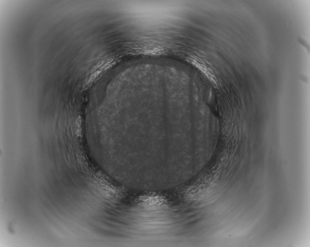 X0000096130689200802081326