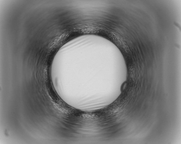 X0000096130690200802081326